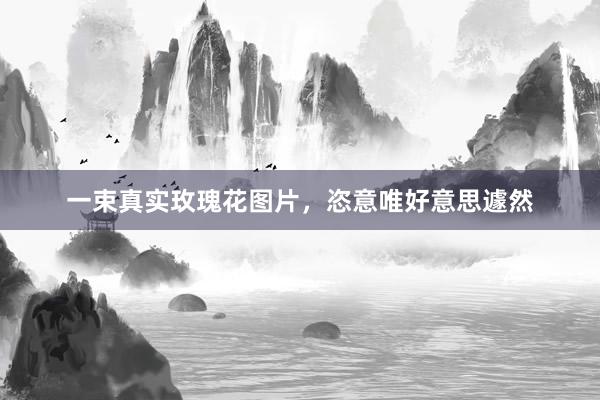 一束真实玫瑰花图片，恣意唯好意思遽然